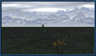 tigonus1.gif - 26507 Bytes